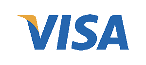 Visa Logo Icon