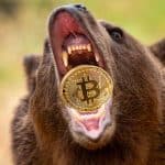 Bitcoin bear market