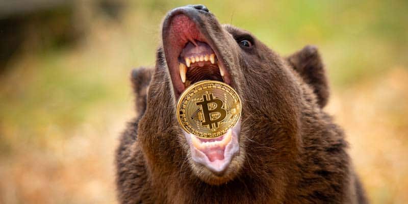 Bitcoin bear market